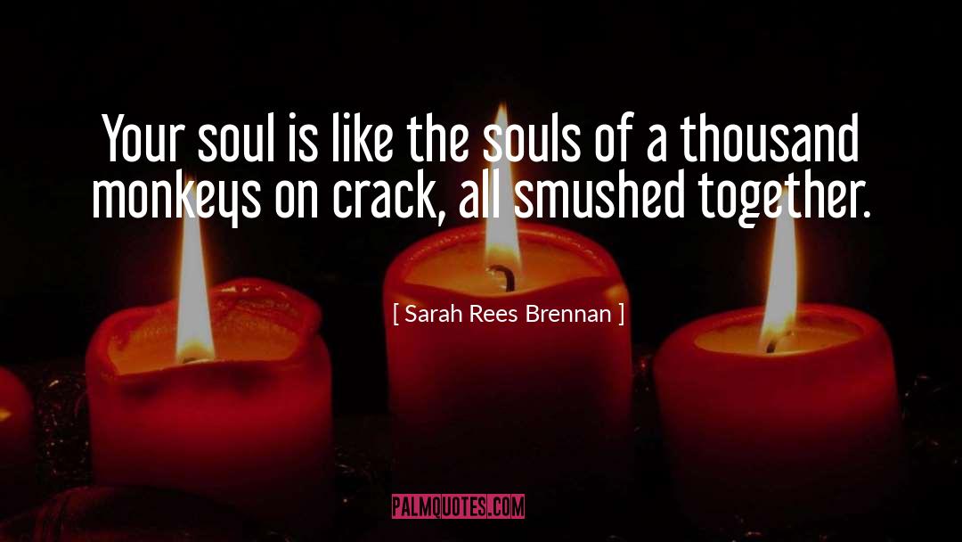 Sarah Rees Brennan quotes by Sarah Rees Brennan