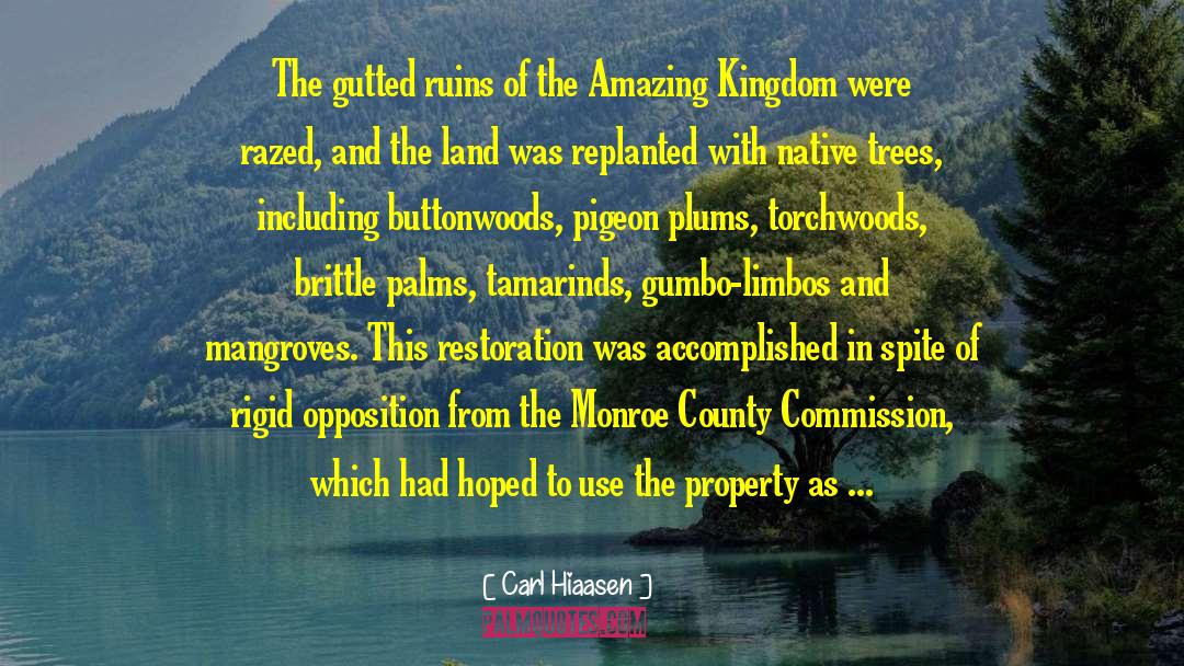 Sarasota County Property Appraiser quotes by Carl Hiaasen