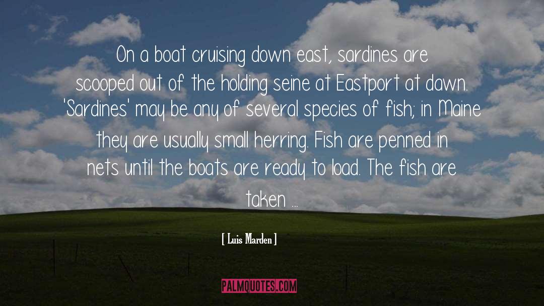 Sardines quotes by Luis Marden