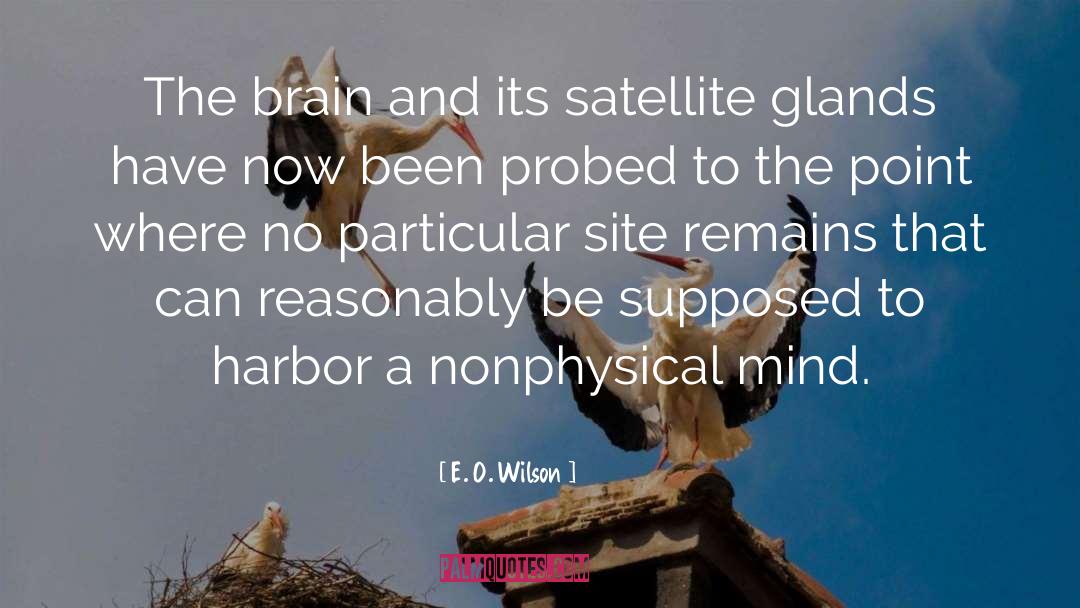 Satellite quotes by E. O. Wilson