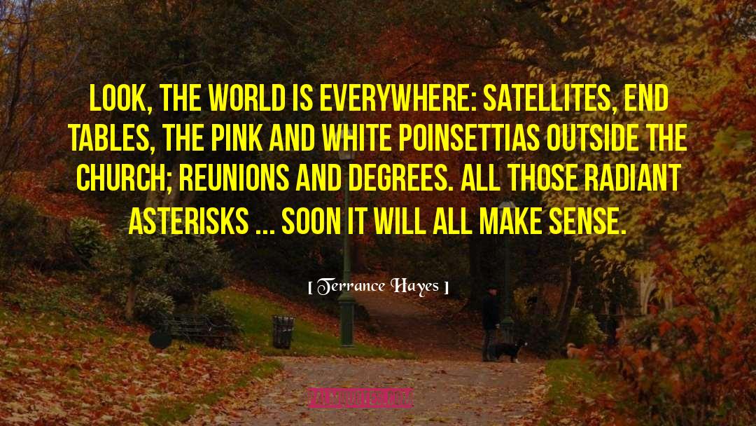 Satellites quotes by Terrance Hayes