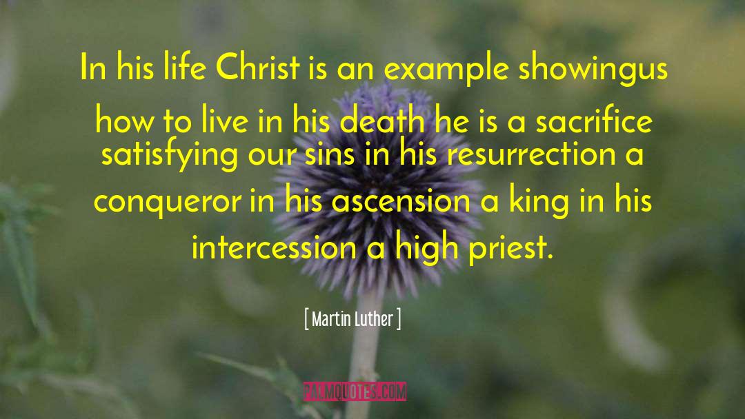 Satisfaction For Sin quotes by Martin Luther