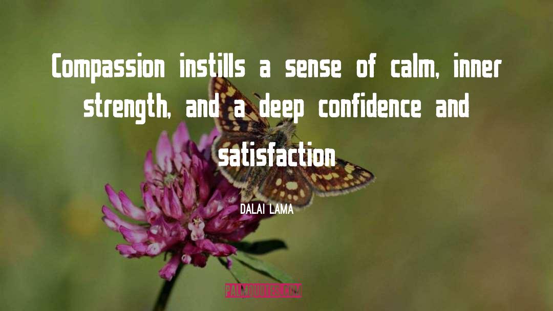 Satisfaction quotes by Dalai Lama