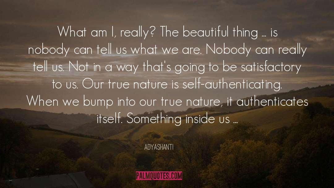 Satisfactory quotes by Adyashanti