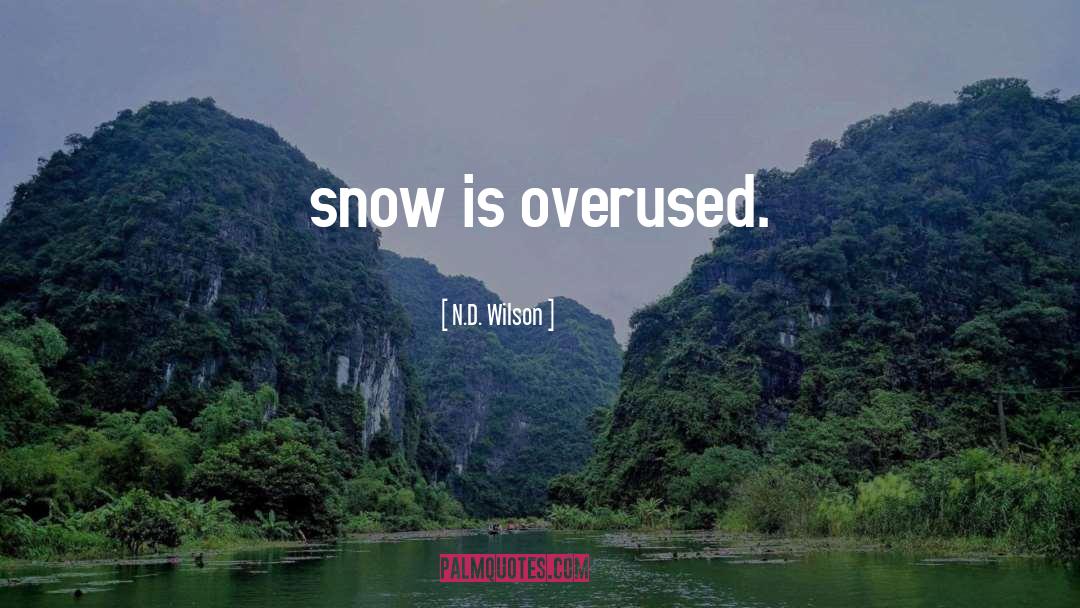 Satkowiak Snow quotes by N.D. Wilson