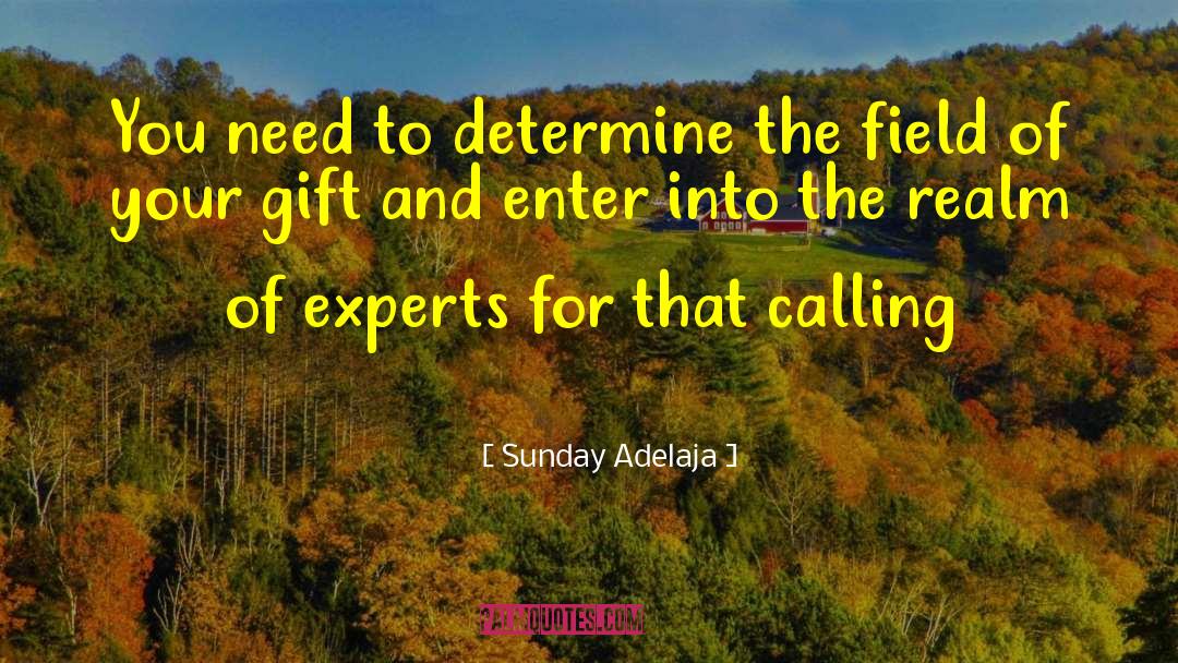 Saturday And Sunday quotes by Sunday Adelaja