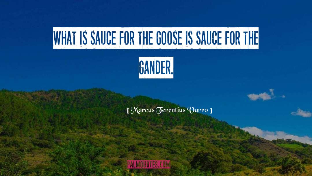 Sauce quotes by Marcus Terentius Varro