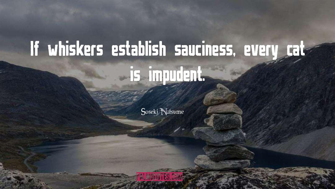 Sauciness Synonym quotes by Soseki Natsume