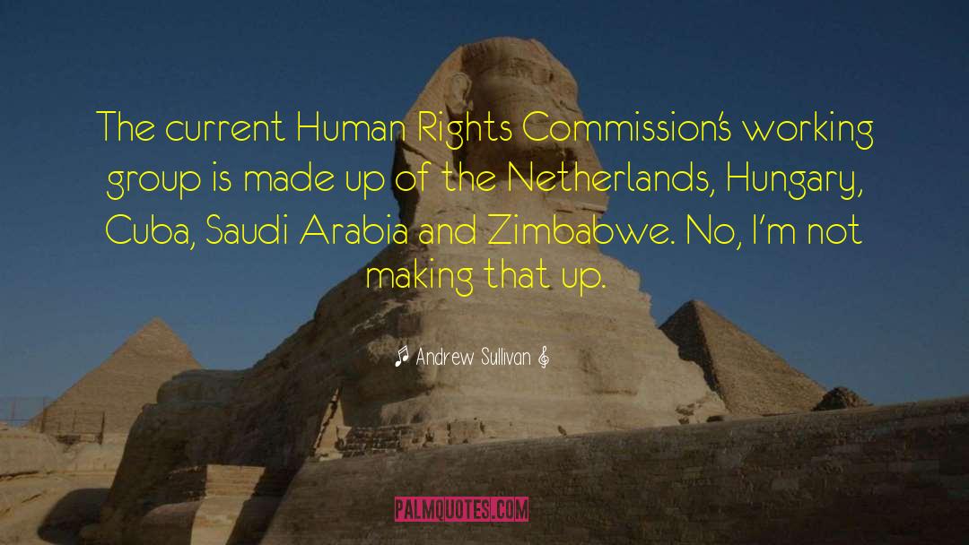 Saudi Arabia quotes by Andrew Sullivan