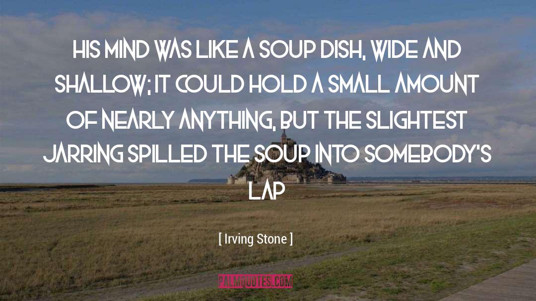 Sauerkraut Soup quotes by Irving Stone