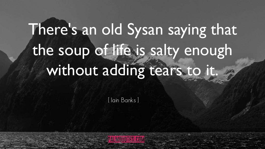 Sauerkraut Soup quotes by Iain Banks