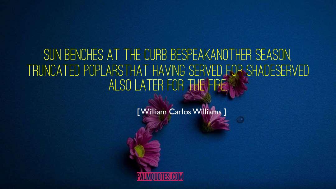 Saul Williams quotes by William Carlos Williams