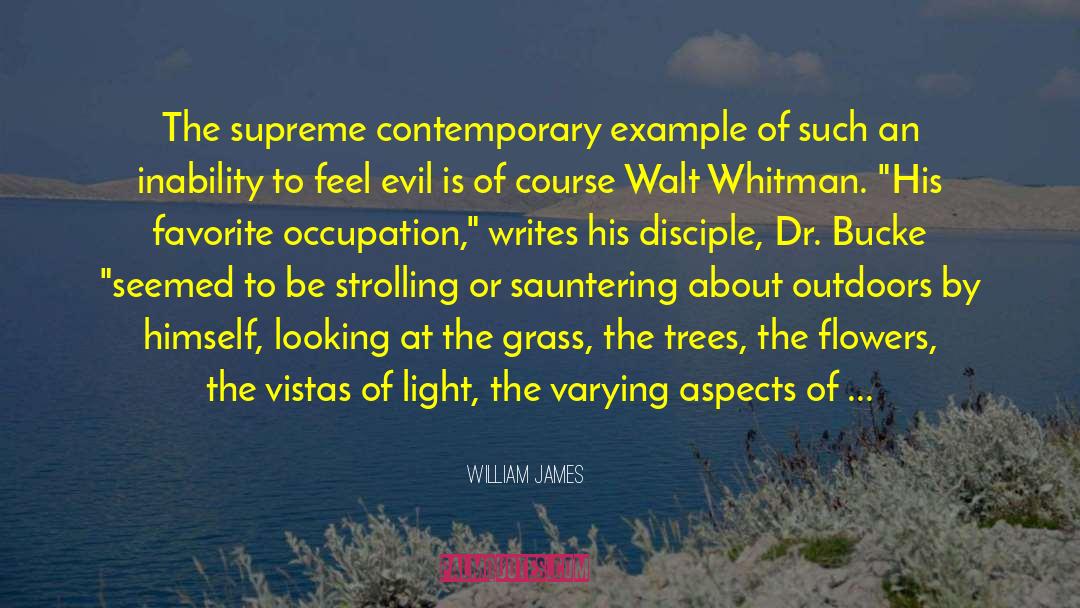 Sauntering quotes by William James