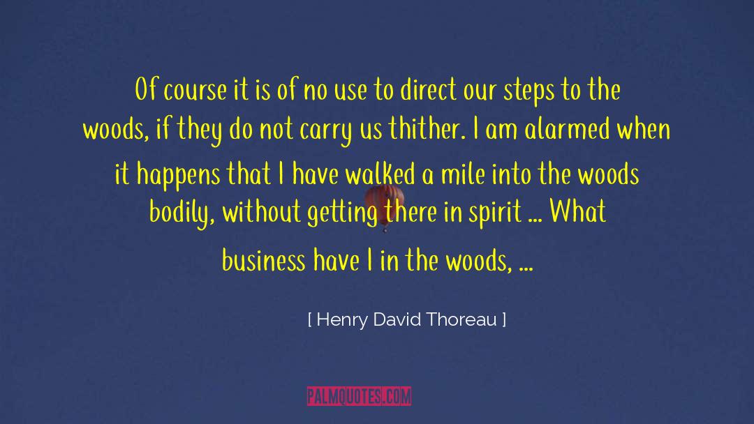 Sauntering quotes by Henry David Thoreau