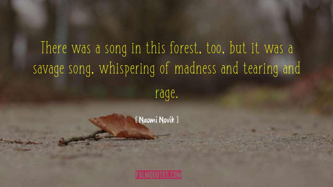 Savage Song quotes by Naomi Novik