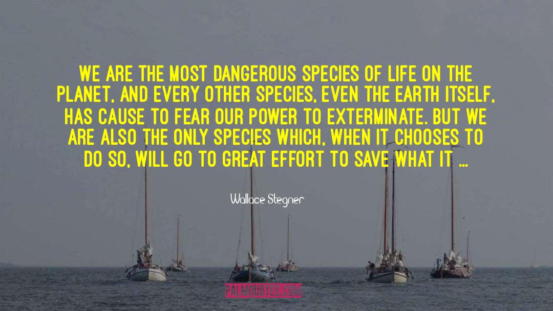 Save Earth Save Environment quotes by Wallace Stegner