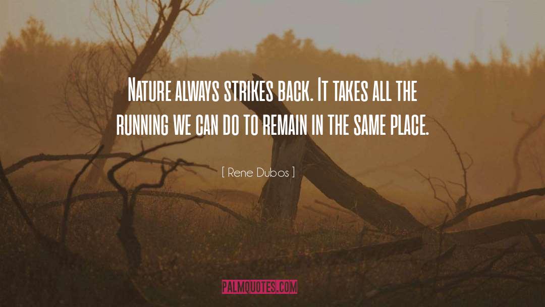 Save Mother Earth quotes by Rene Dubos