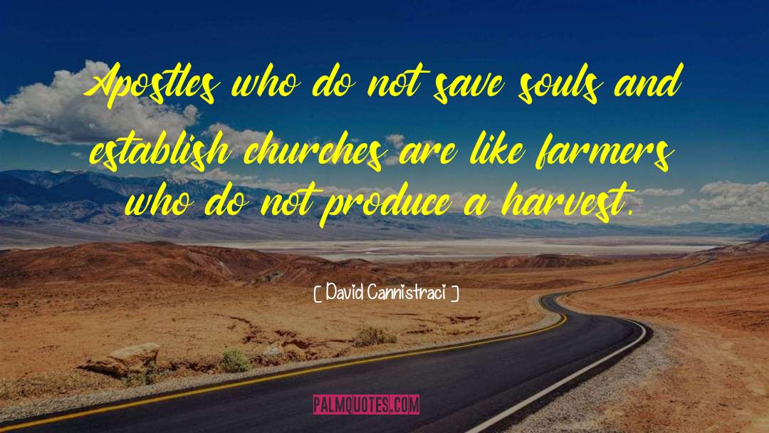 Save Souls quotes by David Cannistraci