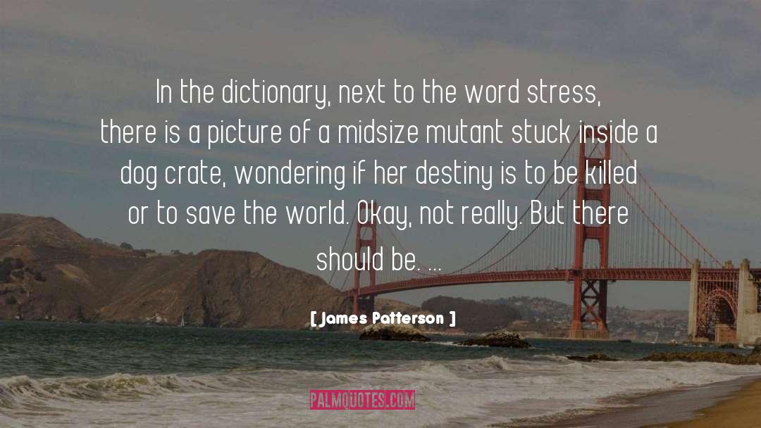 Save The World quotes by James Patterson