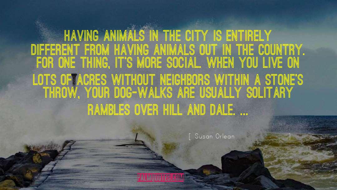 Save Your City quotes by Susan Orlean