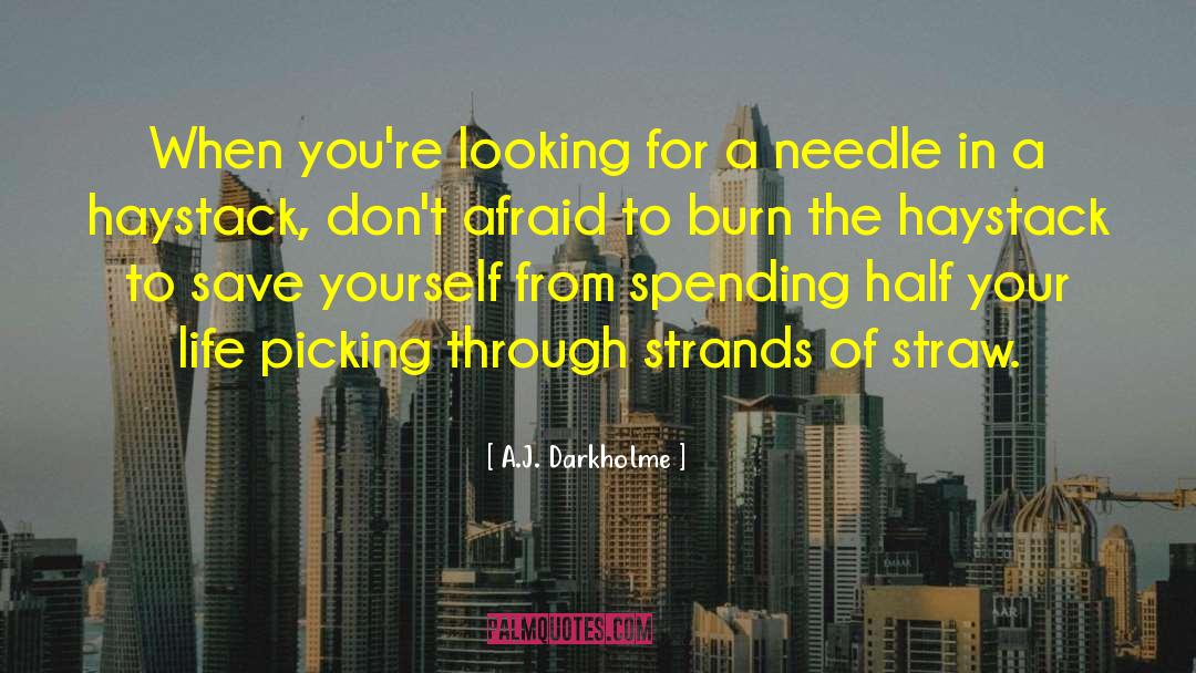 Save Yourself Headaches quotes by A.J. Darkholme