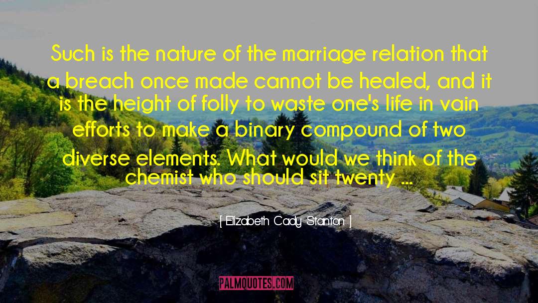 Saving A Marriage quotes by Elizabeth Cady Stanton