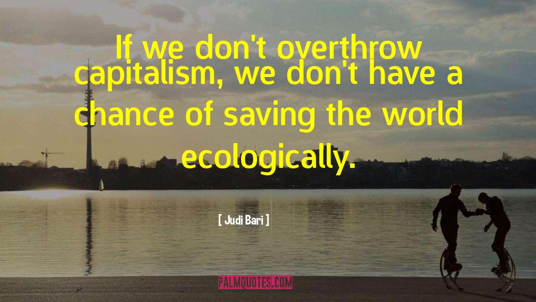 Saving The World quotes by Judi Bari