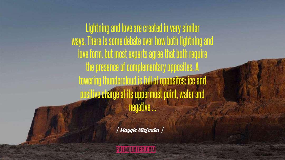 Saving Water And Electricity quotes by Maggie Stiefvater