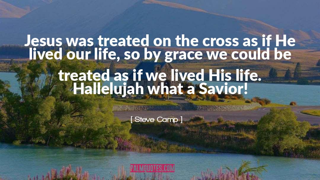 Savior Jesus quotes by Steve Camp