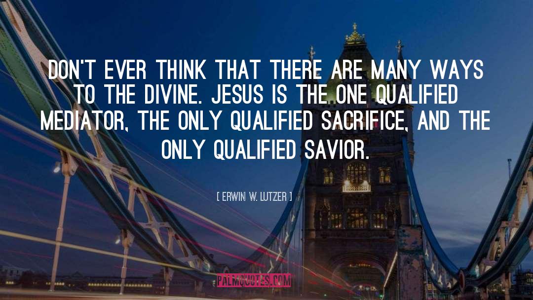 Savior Jesus quotes by Erwin W. Lutzer