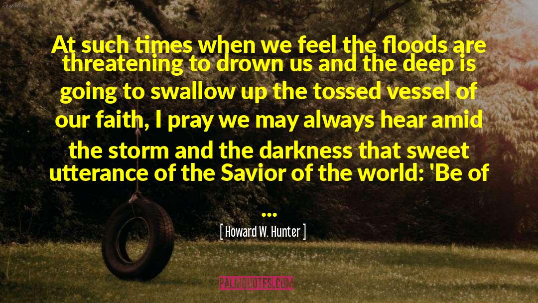 Savior Of The World quotes by Howard W. Hunter