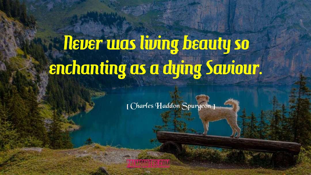 Saviour quotes by Charles Haddon Spurgeon