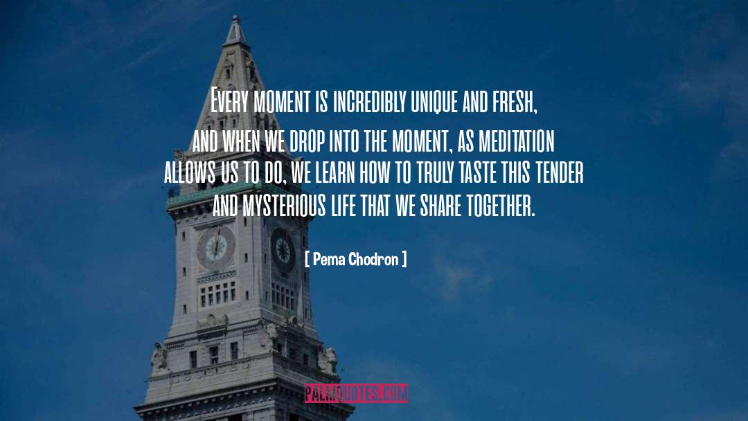 Savor Every Moment quotes by Pema Chodron