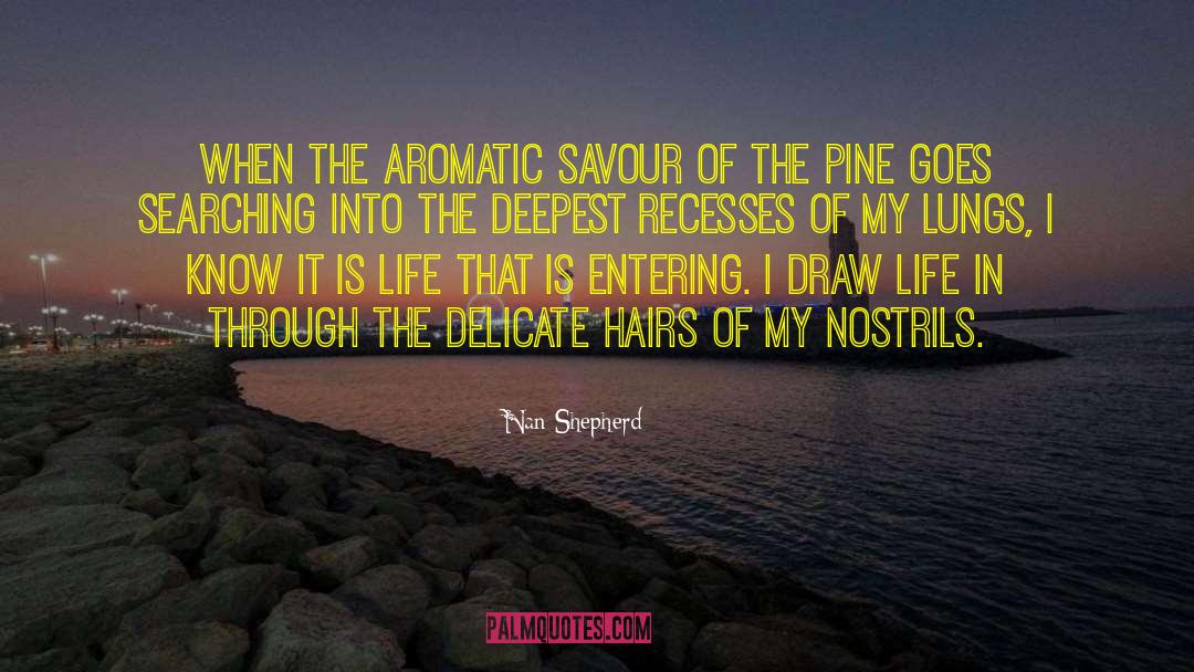 Savour quotes by Nan Shepherd