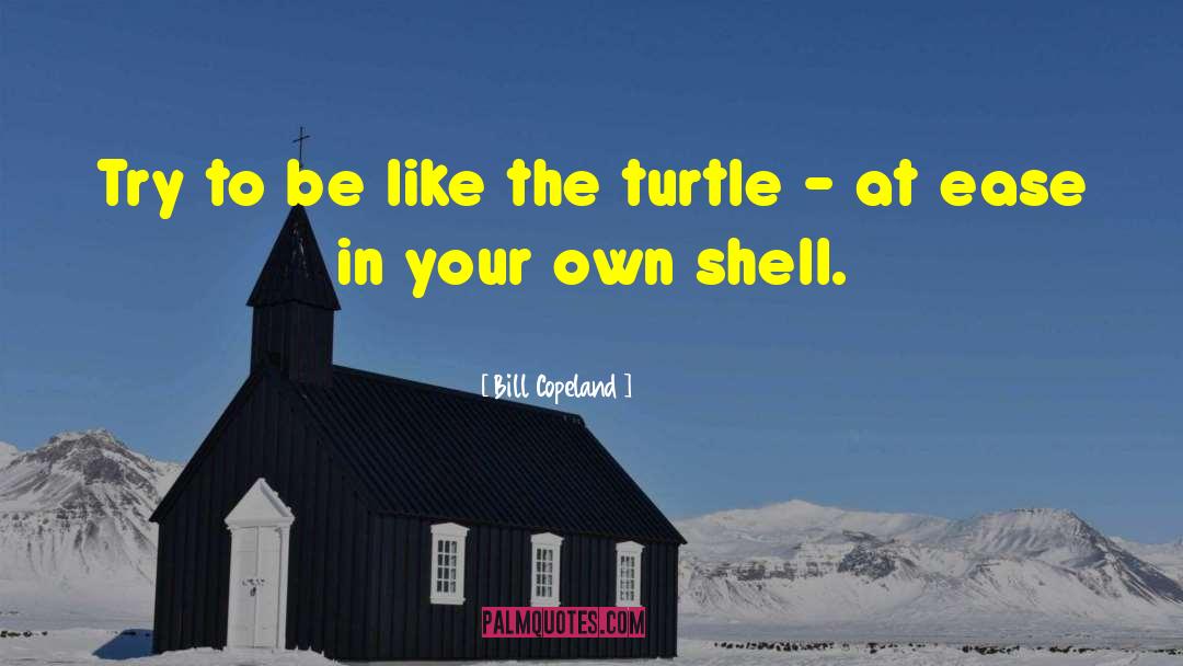 Savvy Turtle quotes by Bill Copeland