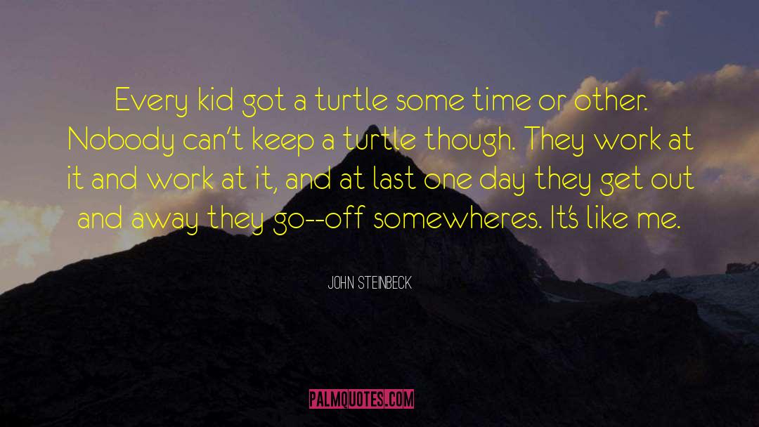 Savvy Turtle quotes by John Steinbeck