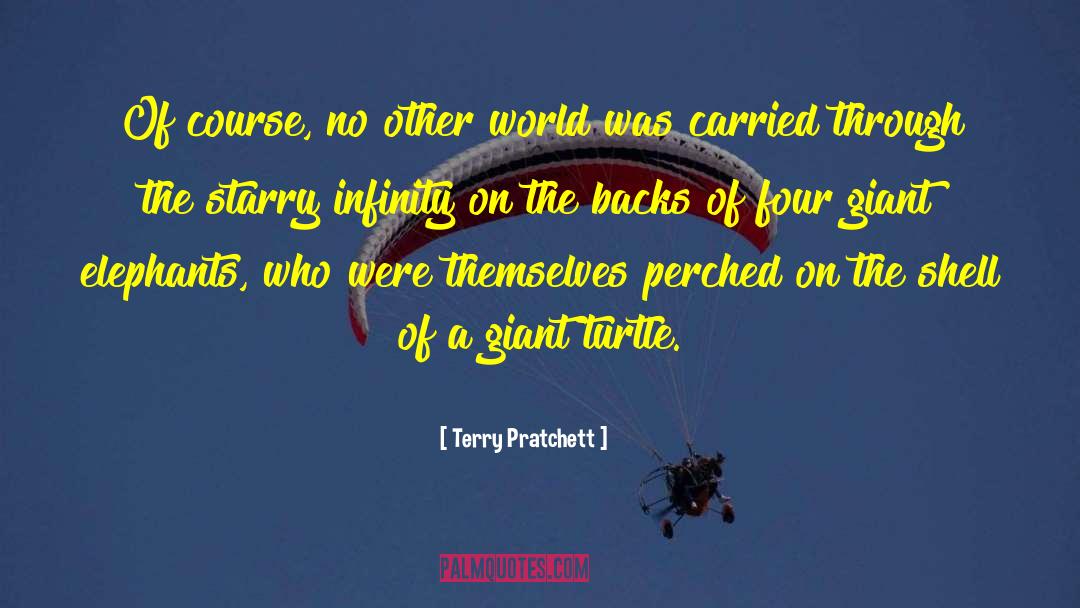 Savvy Turtle quotes by Terry Pratchett