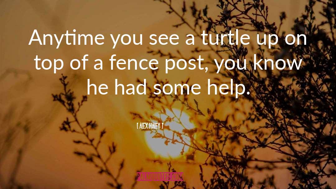 Savvy Turtle quotes by Alex Haley