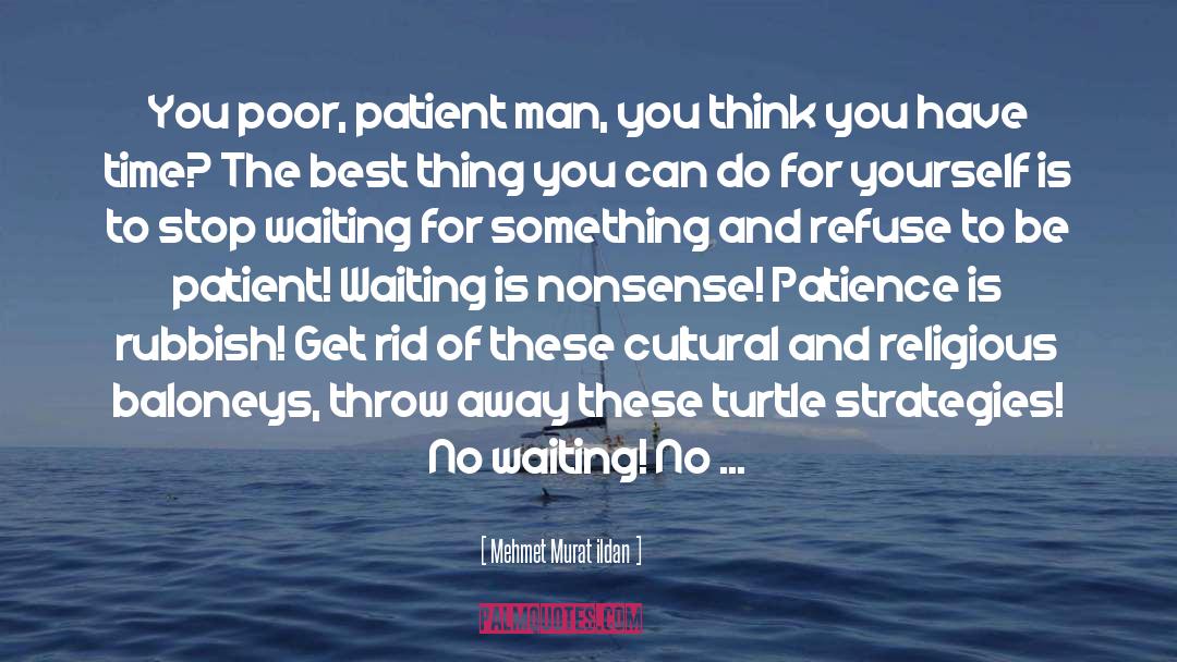 Savvy Turtle quotes by Mehmet Murat Ildan