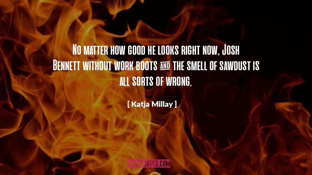 Sawdust quotes by Katja Millay