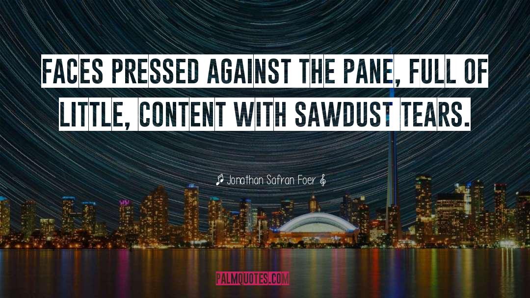 Sawdust quotes by Jonathan Safran Foer