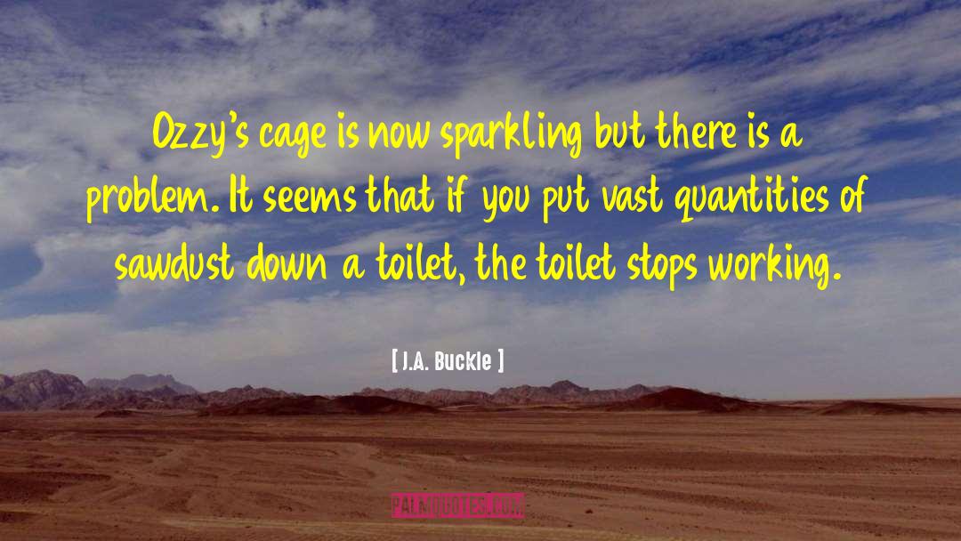 Sawdust quotes by J.A. Buckle