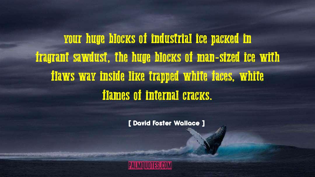 Sawdust quotes by David Foster Wallace