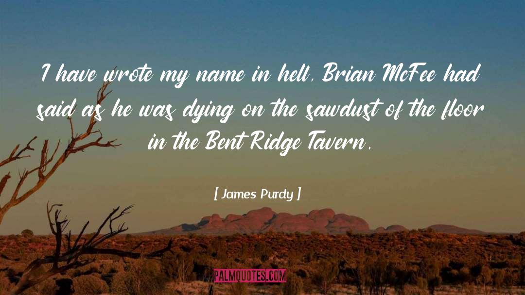 Sawdust quotes by James Purdy