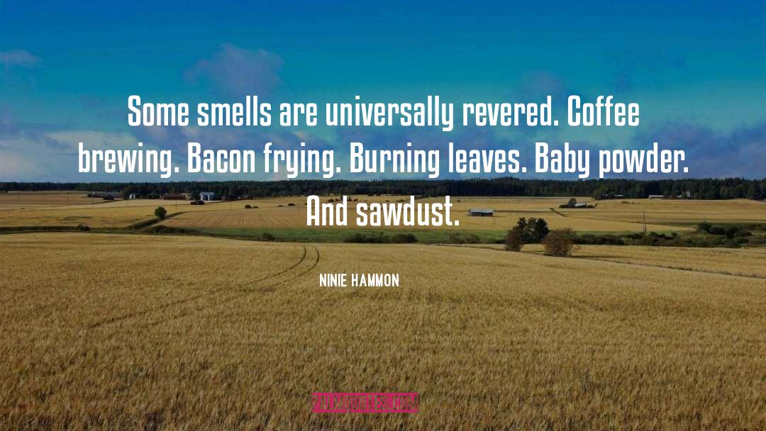 Sawdust quotes by Ninie Hammon