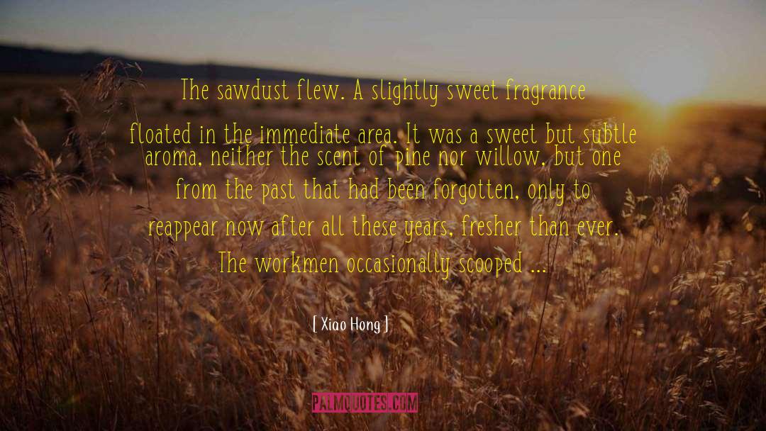 Sawdust quotes by Xiao Hong