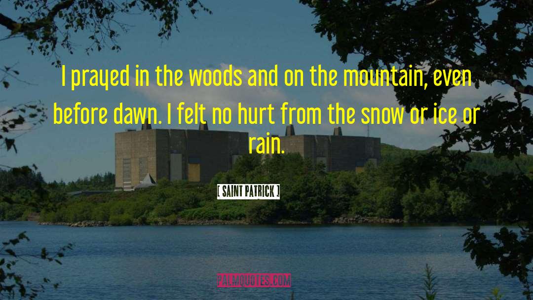 Sawtelle Mountain quotes by Saint Patrick
