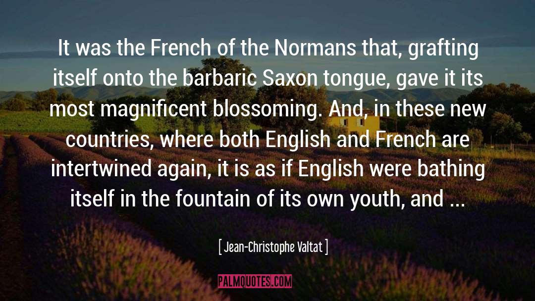 Saxon quotes by Jean-Christophe Valtat