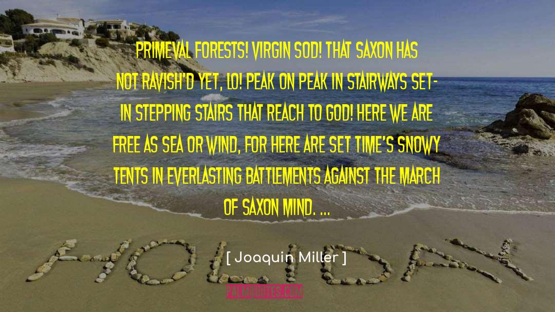 Saxon quotes by Joaquin Miller