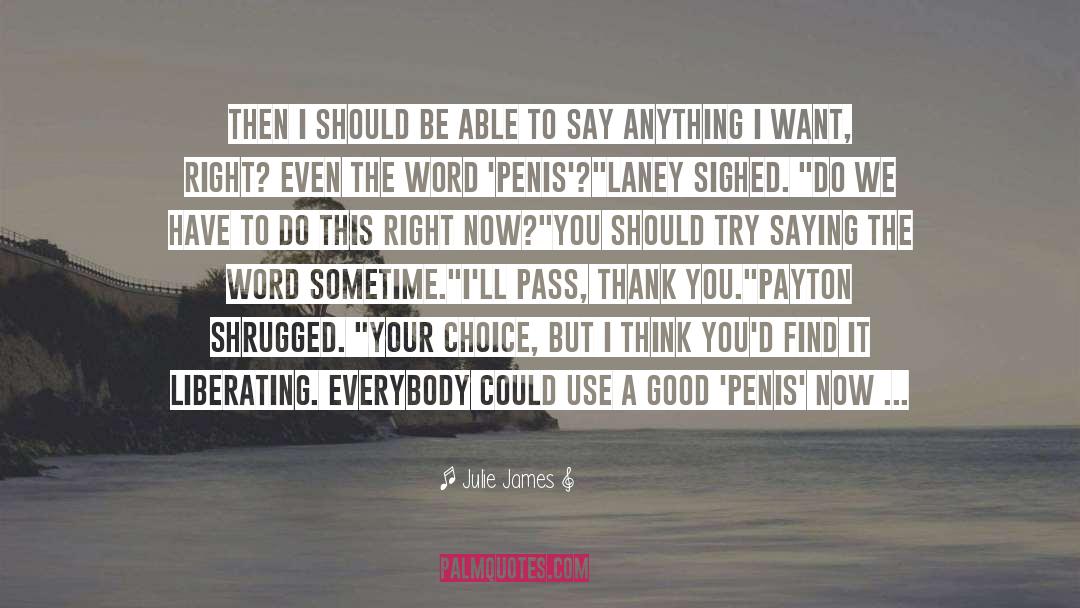 Say Anything quotes by Julie James